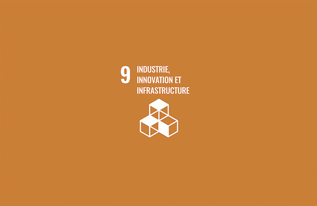 ODD n° 9 : Industrie, innovation, infrastructure