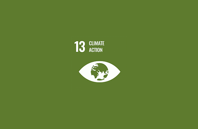 SDG # 13: Climate Action