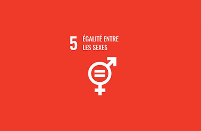 ODD n°5 : Égalité entre les sexes